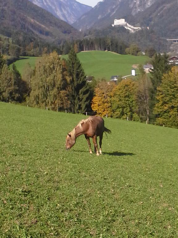 Unterschwabegghof * Werfen