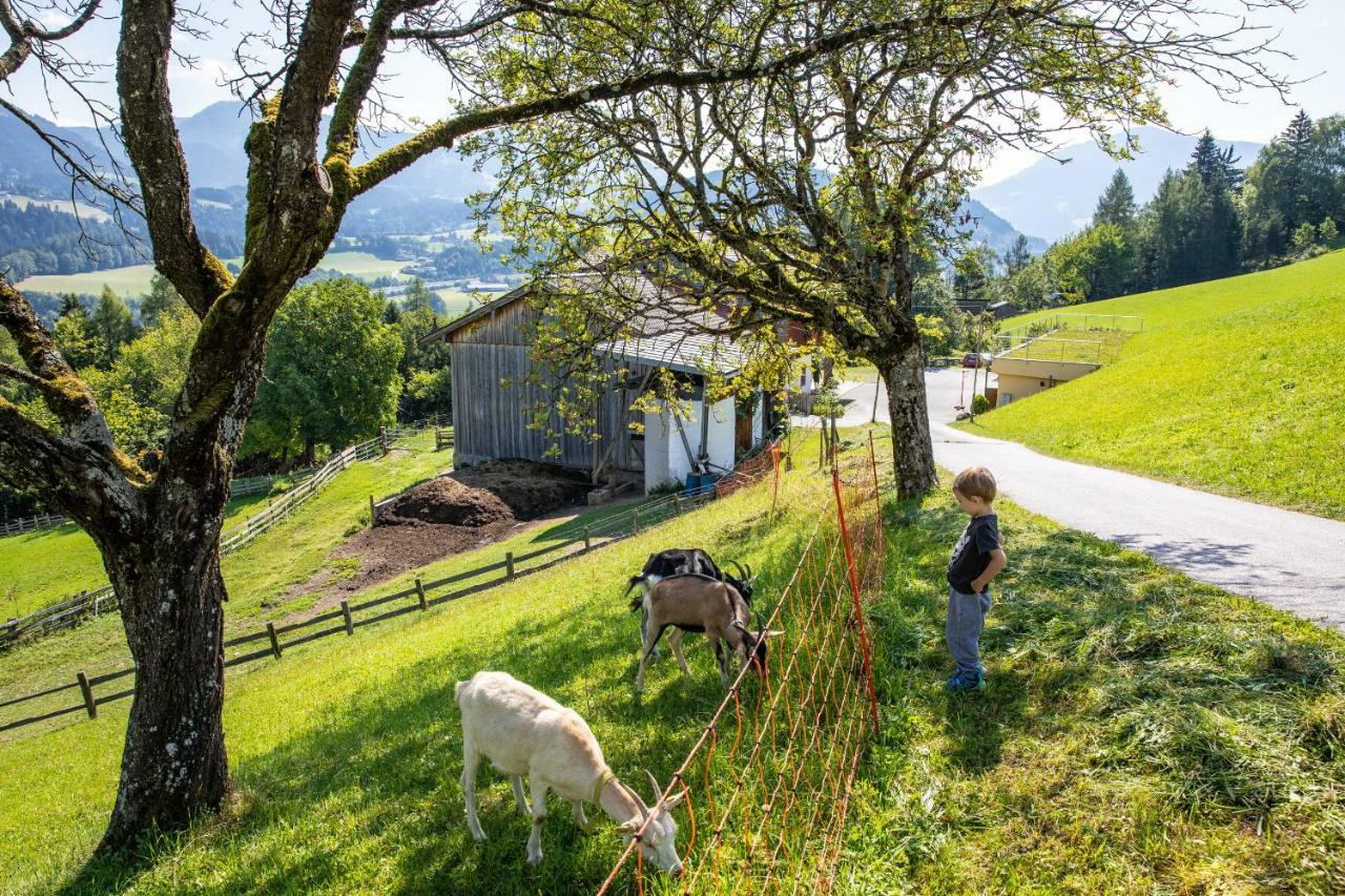 Unterschwabegghof Apartment Werfen